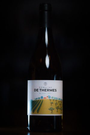 Sud Ouest Domaine DeThermes - IgpComteTolosan - Colombard