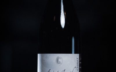 Côtes Du Rhône Vignoble Chirat – Saint Joseph – La Côte