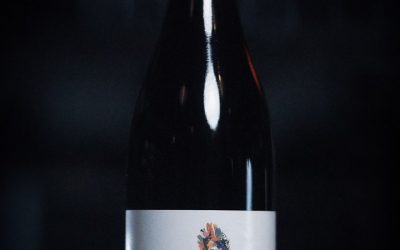 Languedoc Domaine DeLancyre – Igp Saint GuilhemLe Désert – Lancyre En Liberté