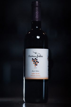 Bordeaux Beau-Site Haut-Vignoble - Saint Estèphe - 75cl