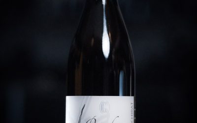 Côtes Du Rhône VignobleChirat – Condrieu – Les Chays