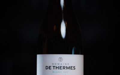 Sud Ouest Domaine DeThermes – IgpComteTolosan – Colombard